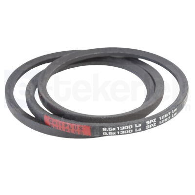 9,5*575 La BELTPLUS DÜZ V KAYISI SPZ 562 Lw - 1