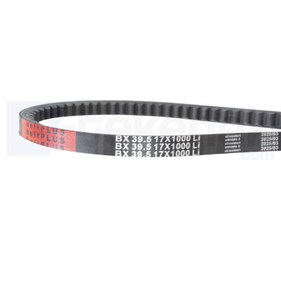 AX 17*1000 Li BELTPLUS TIRTIRLI V KAYISI - 3